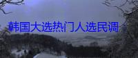 韩国大选热门人选民调：李在明支持率超48%排名第一